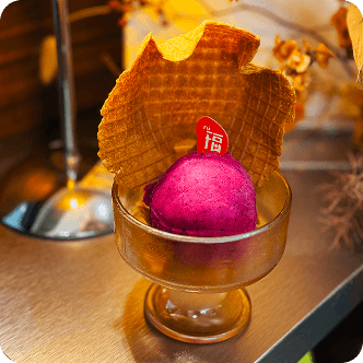 Dragonfruit Banana Sorbet